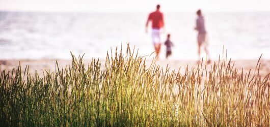 25 Fun & Free (or Nearly Free) Things to Do When You’re Broke