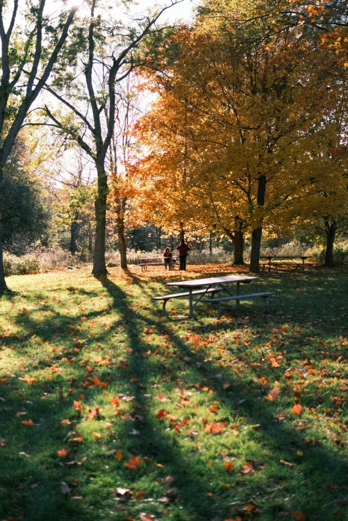 Autumn foliage and a picnic area.