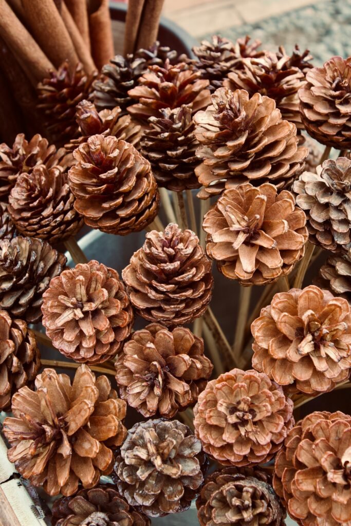 a bunch of pine cones sitting on top of a table
