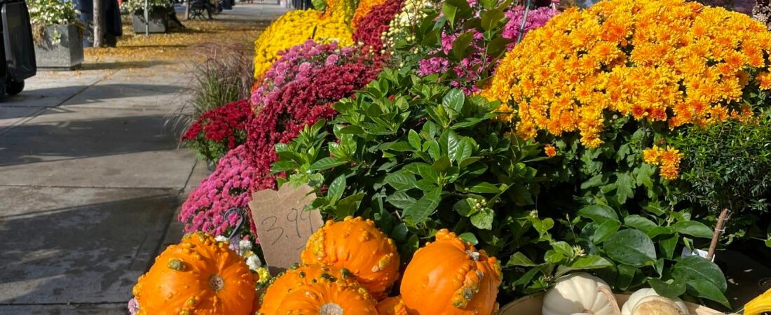 How to Make Extra Cash Selling at Fall Fairs: A Complete Guide