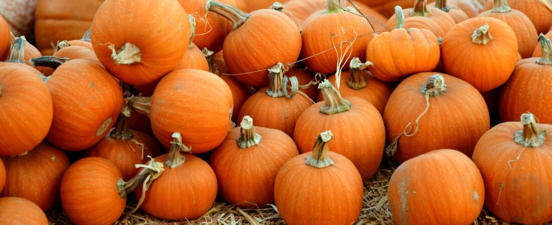 Cozy Fall Decorating on a Budget: Affordable Ways to Refresh Your Home for Autumn