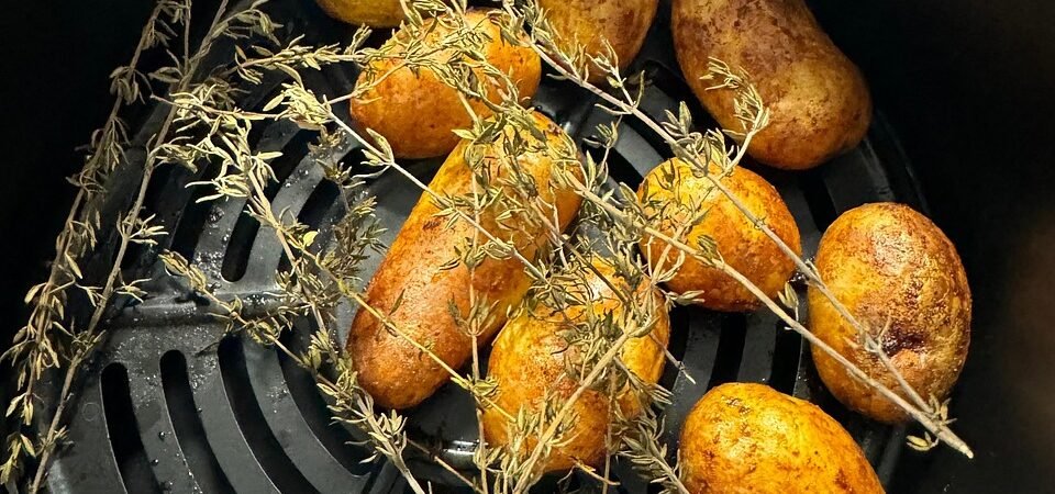 Top Rated Air Fryers for Busy Families on a Budget