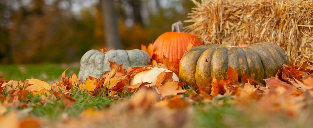 How to Save Money on Holiday Shopping by Starting in October