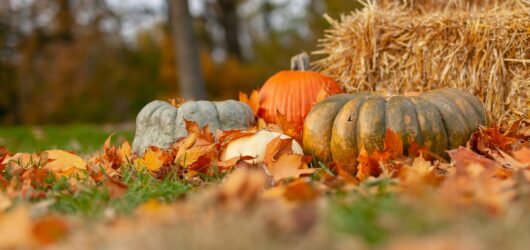 How to Save Money on Holiday Shopping by Starting in October